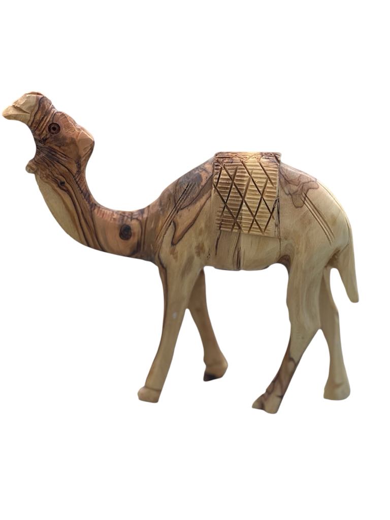 Standing Camel